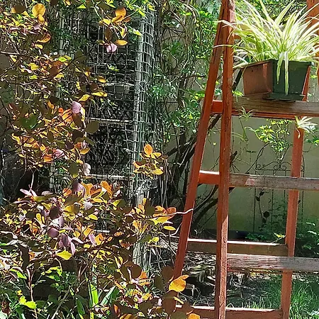 Rozana Przy Ice クラクフ