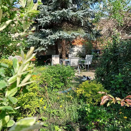 アパート Rozana Przy Ice クラクフ