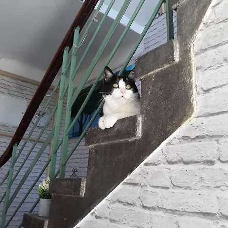 Rozana Przy Ice דירה קרקוב