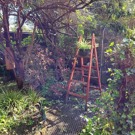 Rozana Przy Ice * Krakow