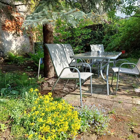 Rozana Przy Ice דירה *