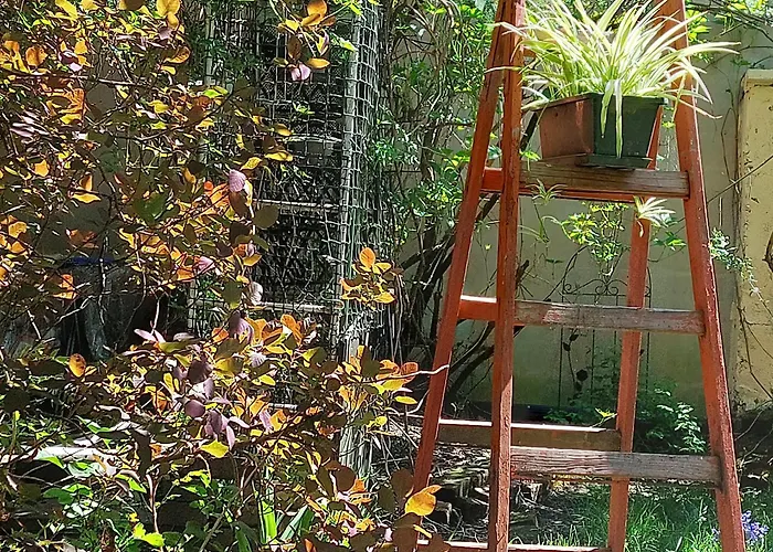 Rozana Przy Ice クラクフ