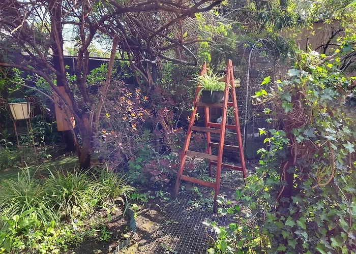 Rozana Przy Ice * クラクフ