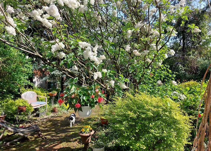 アパート Rozana Przy Ice *